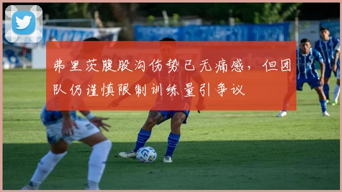 弗里茨腹股沟伤势已无痛感,但团队仍谨慎限制训练量引争议